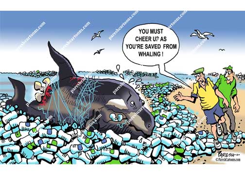 Plastic pollution in beach - Paresh Cartoons